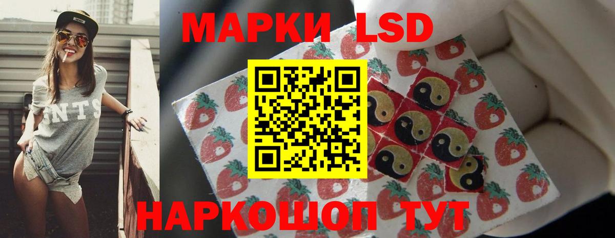 APVP Можга