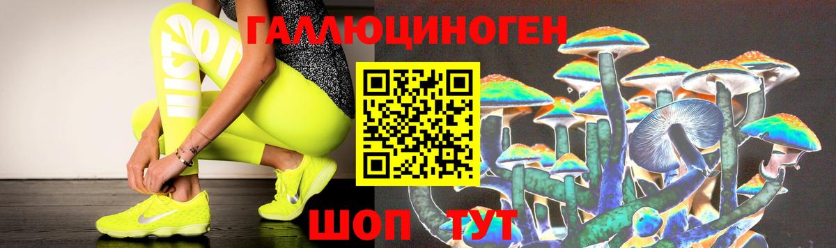 Псилоцибиновые грибы Cubensis Можга