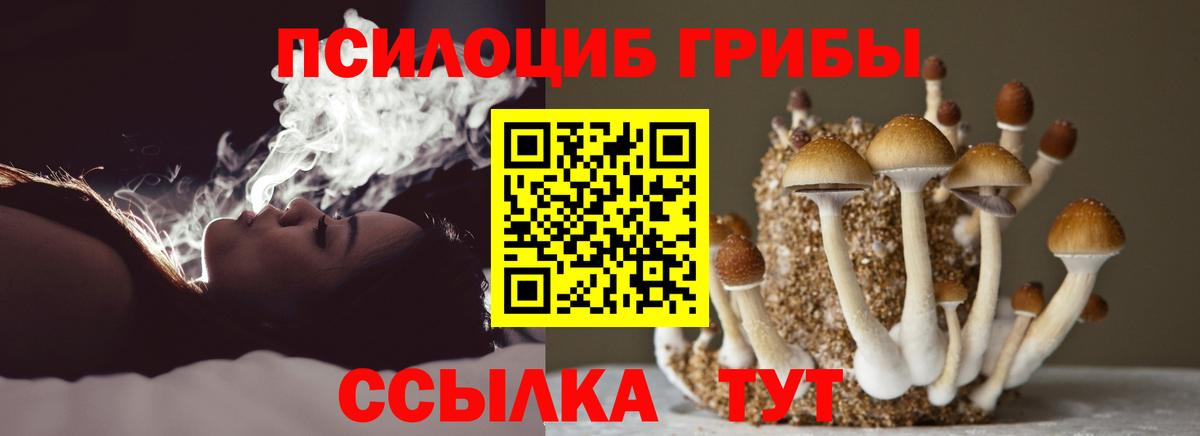 Галлюциногенные грибы Psilocybe  Галлюциногенные грибы прущие грибы  Можга  Вход с VPN 